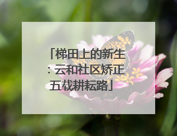 梯田上的新生：云和社区矫正五载耕耘路