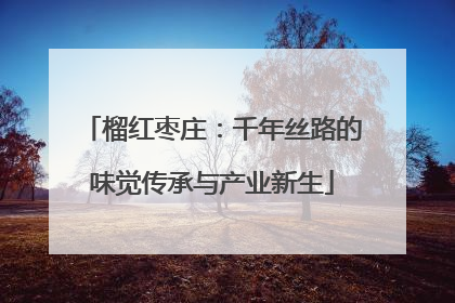 榴红枣庄：千年丝路的味觉传承与产业新生