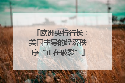 欧洲央行行长：美国主导的经济秩序“正在破裂”