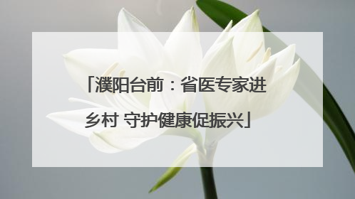 濮阳台前：省医专家进乡村 守护健康促振兴