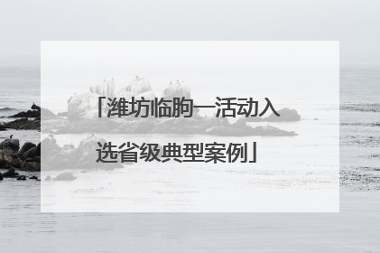 潍坊临朐一活动入选省级典型案例