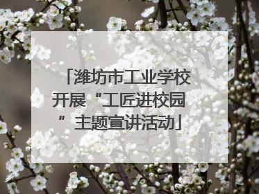 潍坊市工业学校开展“工匠进校园”主题宣讲活动