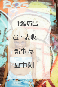 潍坊昌邑：麦收新事 尽显丰收
