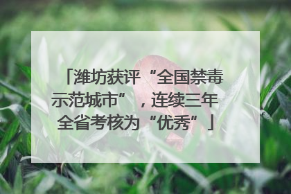 潍坊获评“全国禁毒示范城市”，连续三年全省考核为“优秀”