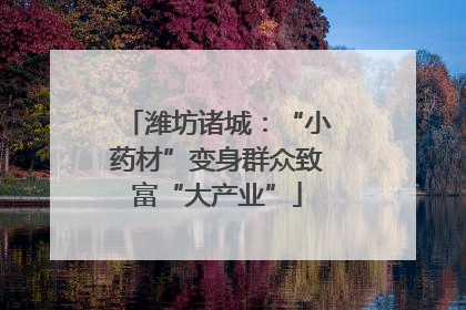 潍坊诸城：“小药材”变身群众致富“大产业”