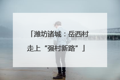 潍坊诸城：岳西村走上“强村新路”