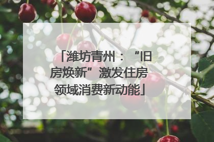 潍坊青州：“旧房焕新”激发住房领域消费新动能