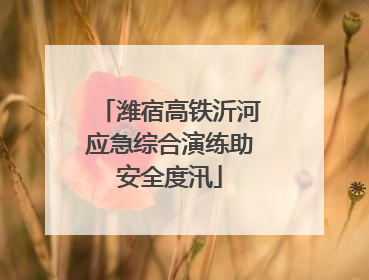 潍宿高铁沂河应急综合演练助安全度汛