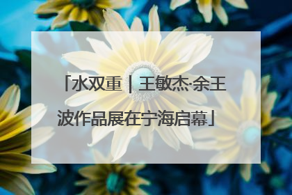水双重｜王敏杰·余王波作品展在宁海启幕