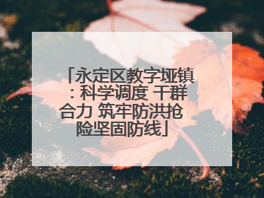 永定区教字垭镇：科学调度 干群合力 筑牢防洪抢险坚固防线