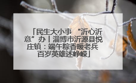 民生大小事 “沂心沂意”办丨淄博市沂源县悦庄镇：端午粽香暖老兵 百岁英雄述峥嵘