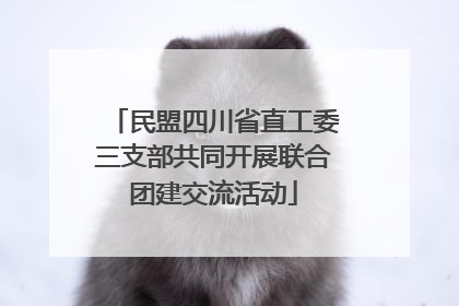 民盟四川省直工委三支部共同开展联合团建交流活动