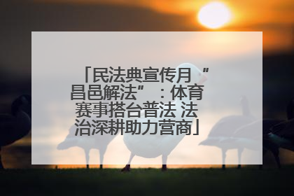 民法典宣传月“昌邑解法”：体育赛事搭台普法 法治深耕助力营商