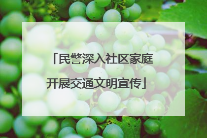 民警深入社区家庭开展交通文明宣传