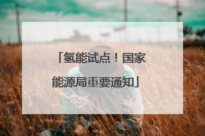 氢能试点！国家能源局重要通知