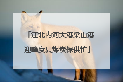 江北内河大港梁山港迎峰度夏煤炭保供忙
