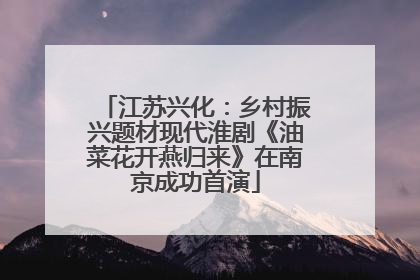 江苏兴化：乡村振兴题材现代淮剧《油菜花开燕归来》在南京成功首演