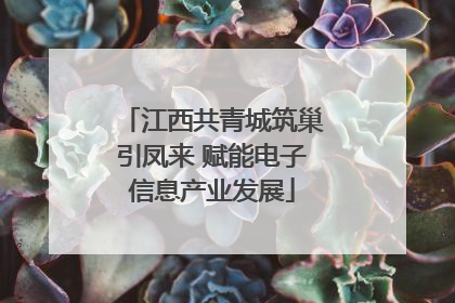 江西共青城筑巢引凤来 赋能电子信息产业发展