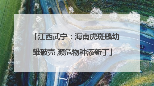 江西武宁：海南虎斑鳽幼雏破壳 濒危物种添新丁
