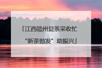 江西赣州夏茶采收忙 “新茶勃发”助振兴
