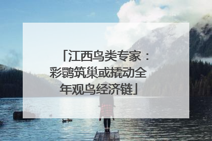 江西鸟类专家：彩鹮筑巢或撬动全年观鸟经济链