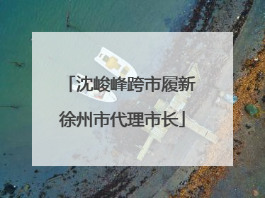 沈峻峰跨市履新徐州市代理市长