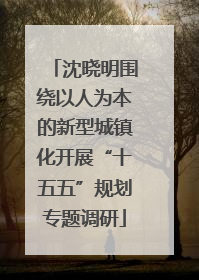 沈晓明围绕以人为本的新型城镇化开展“十五五”规划专题调研