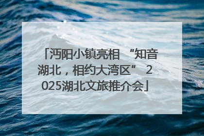 沔阳小镇亮相 “知音湖北，相约大湾区” 2025湖北文旅推介会