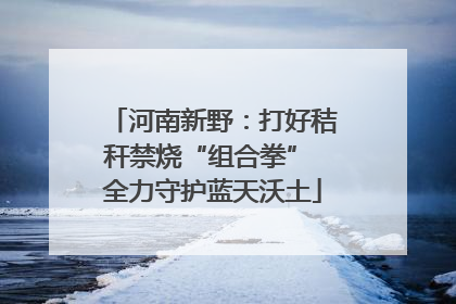 河南新野：打好秸秆禁烧“组合拳” 全力守护蓝天沃土
