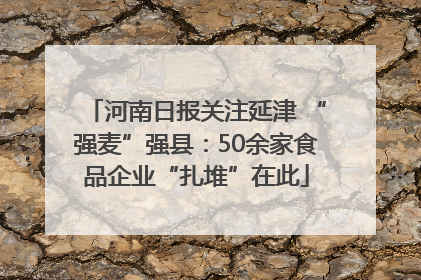 河南日报关注延津 “强麦”强县：50余家食品企业“扎堆”在此