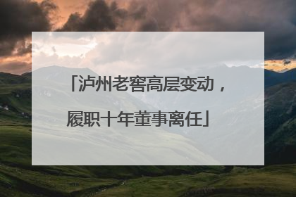 泸州老窖高层变动，履职十年董事离任