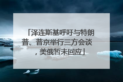 泽连斯基呼吁与特朗普、普京举行三方会谈，美俄暂未回应