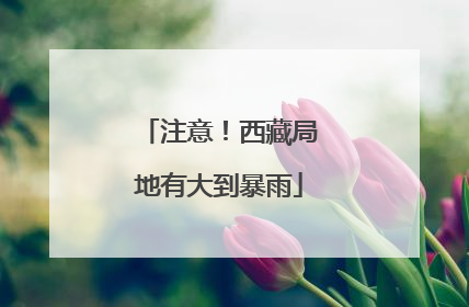 注意！西藏局地有大到暴雨
