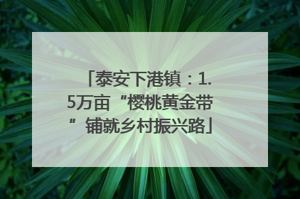 泰安下港镇：1.5万亩“樱桃黄金带”铺就乡村振兴路