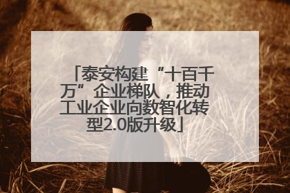 泰安构建“十百千万”企业梯队，推动工业企业向数智化转型2.0版升级