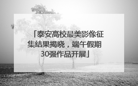 泰安高校最美影像征集结果揭晓，端午假期30强作品开展