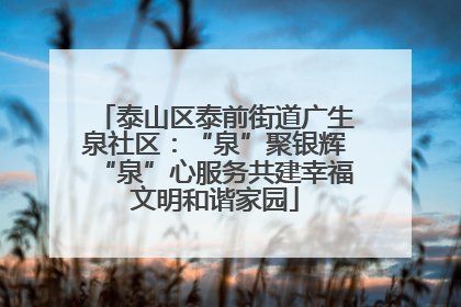 泰山区泰前街道广生泉社区：“泉”聚银辉“泉”心服务共建幸福文明和谐家园