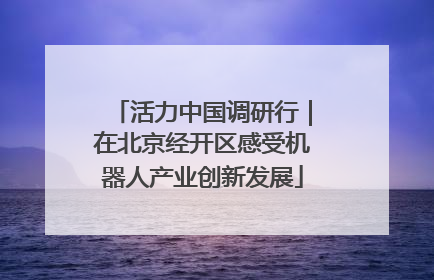 活力中国调研行｜在北京经开区感受机器人产业创新发展
