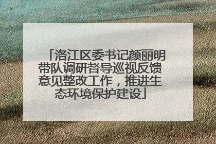 洛江区委书记颜丽明带队调研督导巡视反馈意见整改工作，推进生态环境保护建设