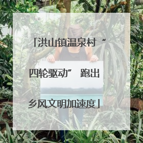 洪山镇温泉村“四轮驱动” 跑出乡风文明加速度
