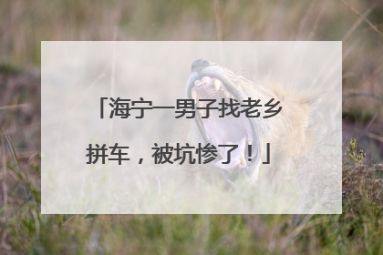 海宁一男子找老乡拼车，被坑惨了！