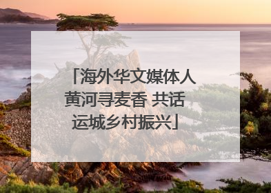 海外华文媒体人黄河寻麦香 共话运城乡村振兴