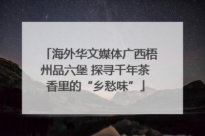 海外华文媒体广西梧州品六堡 探寻千年茶香里的“乡愁味”