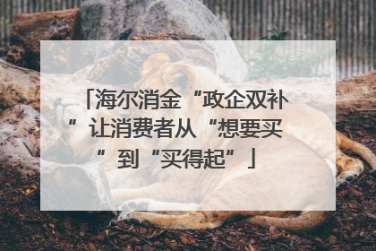 海尔消金“政企双补”让消费者从“想要买”到“买得起”