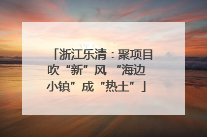 浙江乐清：聚项目吹“新”风 “海边小镇”成“热土”