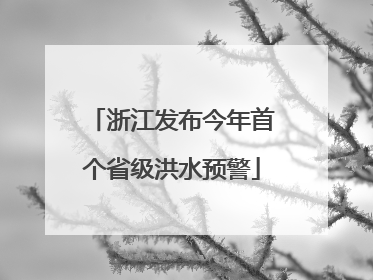 浙江发布今年首个省级洪水预警