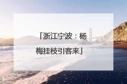 浙江宁波：杨梅挂枝引客来