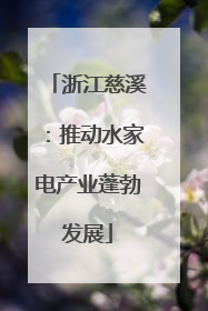 浙江慈溪：推动水家电产业蓬勃发展