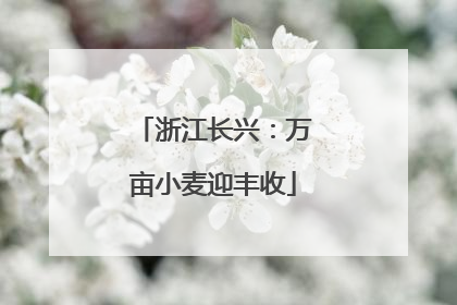 浙江长兴：万亩小麦迎丰收