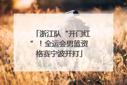 浙江队“开门红”！全运会男篮资格赛宁波开打